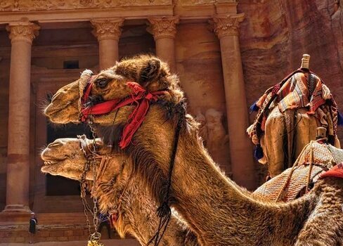 JOD 3: PETRA EXPRESS – Golden Travel & Tours